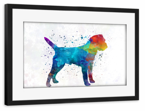 Poster mit Rahmen schwarz "Border Terrier in watercolor" artboxONE - Tiere,Abstrakt