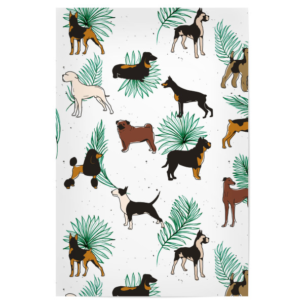 Poster 30x20 cm "Miracles With Paws" artboxONE - Tiere,Liebe