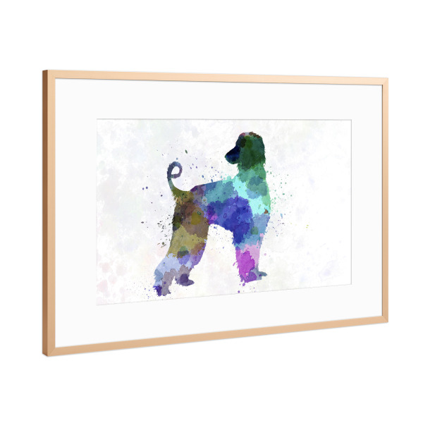 Poster mit Rahmen Kupfer "Afgan Hound in watercolor" artboxONE - Tiere
