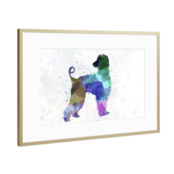 Poster mit Rahmen Gold "Afgan Hound in watercolor" artboxONE - Tiere