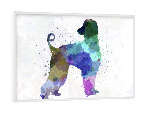 Poster mit weißem Rahmen "Afgan Hound in watercolor" artboxONE - Tiere