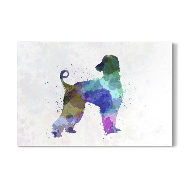 Galerie-Print "Afgan Hound in watercolor" 30x20 cm artboxONE
