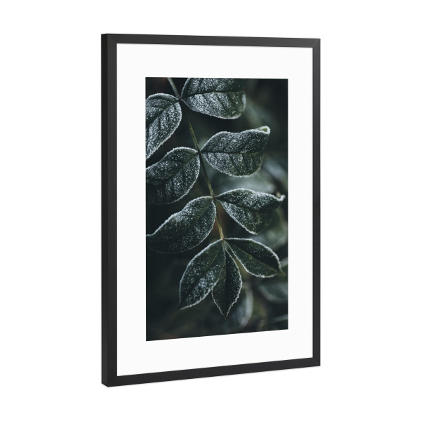 Poster mit Rahmen Schwarz (Metallic) "Freezing Green" artboxONE - Natur