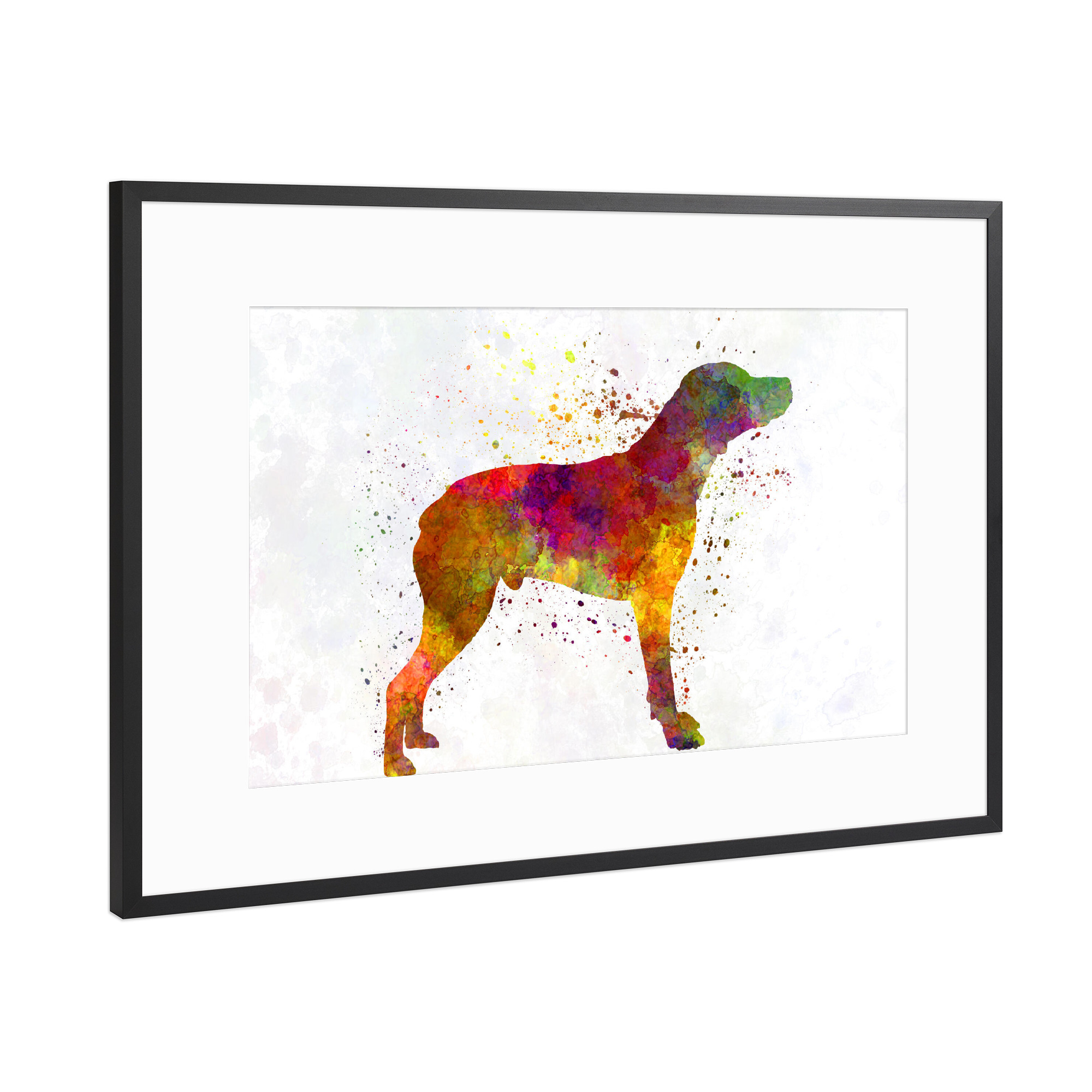 Poster mit Rahmen Schwarz (Metallic) "Bourbonnais Pointer in watercolor" artboxONE - Tiere,Abstrakt