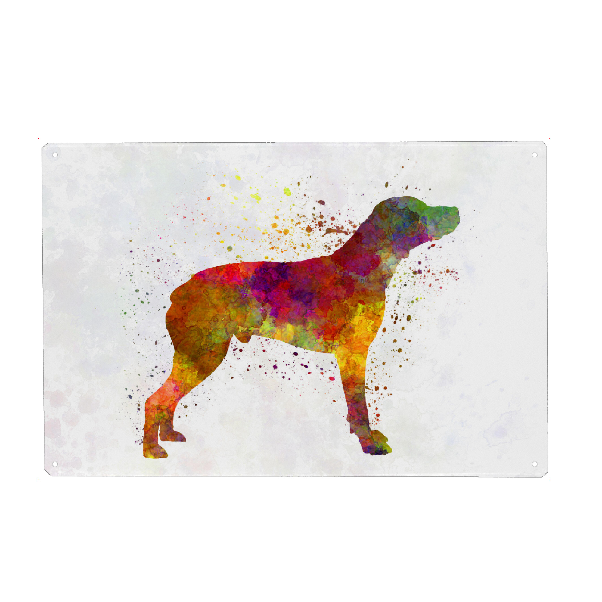 Metall Poster "Bourbonnais Pointer in watercolor" artboxONE - Tiere,Abstrakt