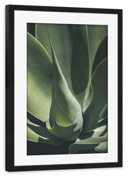 Poster mit Rahmen schwarz "GREENERY FOLIAGE" artboxONE - Natur,Floral - Leaf,Leaves,Plant,Foliage,Pflanze,Botanical,Garden,Greenery,Natur,Nature