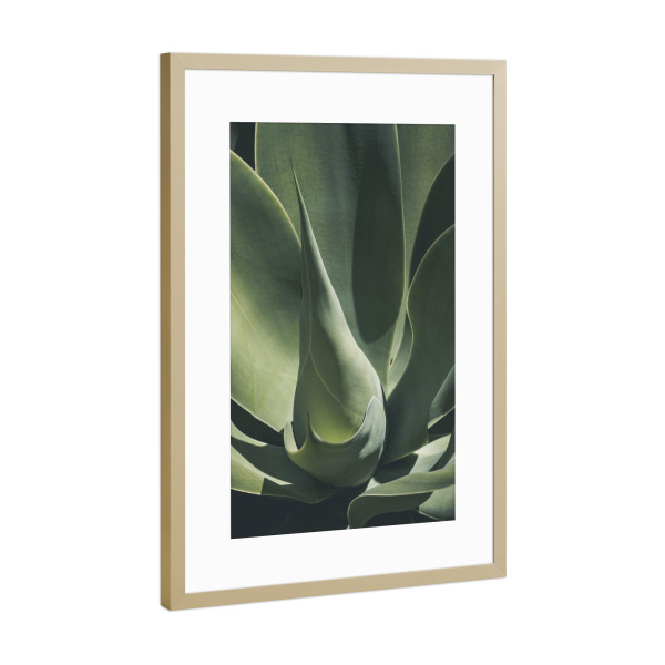 Poster mit Rahmen Gold "GREENERY FOLIAGE" artboxONE - Natur,Floral - Leaf,Leaves,Plant,Foliage,Pflanze,Botanical,Garden,Greenery,Natur,Nature