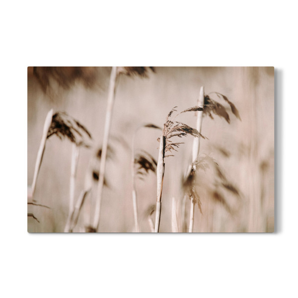 Galerie-Print "Dusty Pink" 30x20 cm artboxONE