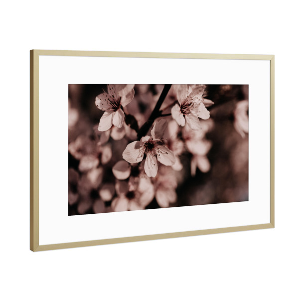 Poster mit Rahmen Gold "Pink Cherry Blossom" artboxONE - Natur,Floral