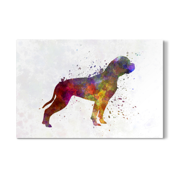 Galerie-Print "American Bulldog in watercolor" 30x20 cm artboxONE