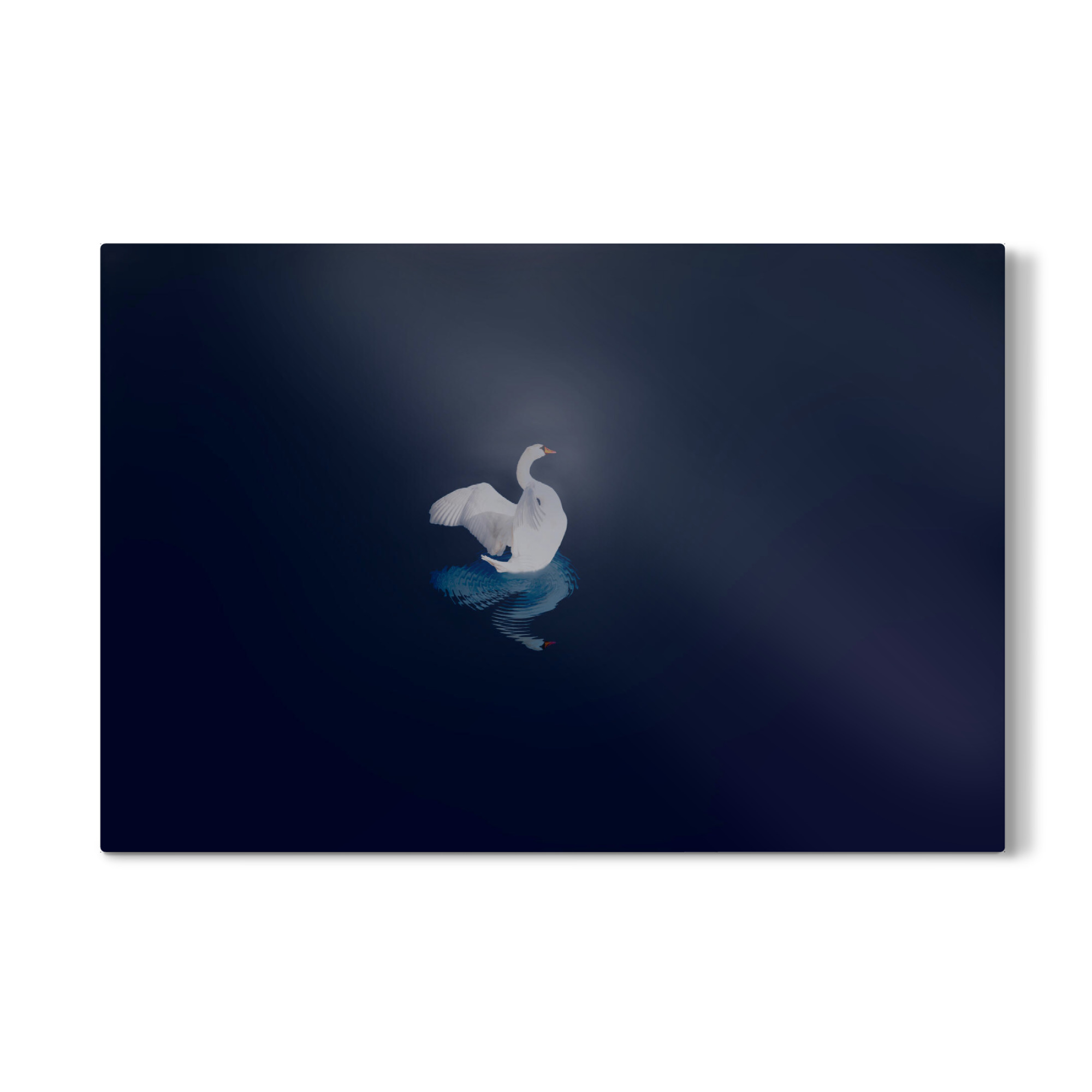 Galerie-Print "Schwan bei Nacht" 30x20 cm artboxONE