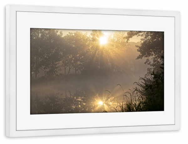 Poster mit Rahmen weiß "Mystische Stimmung" artboxONE - Natur