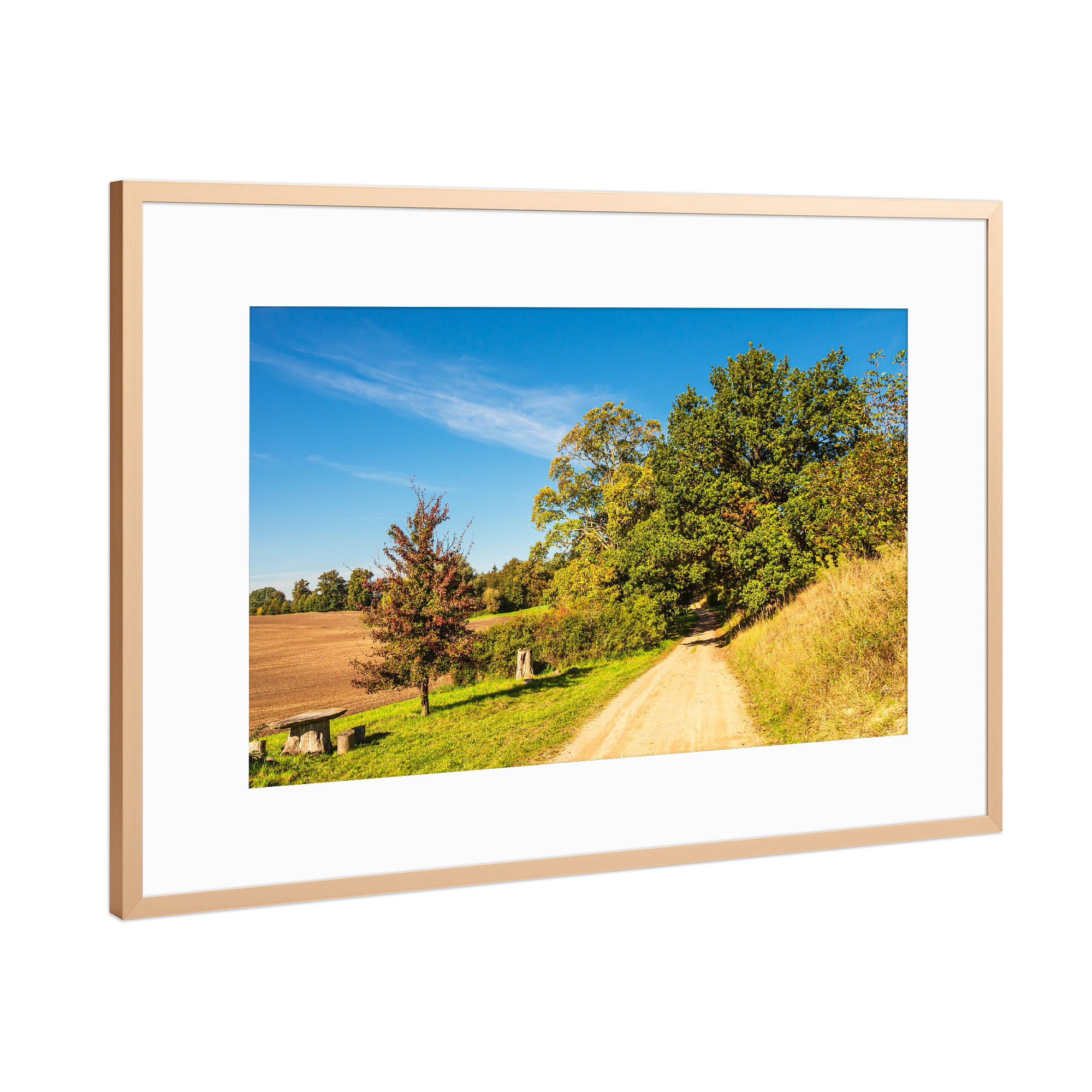 Poster mit Rahmen Kupfer "Bäume, Weg und Feld" artboxONE - Natur,Reise