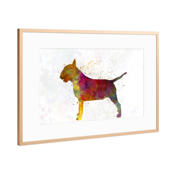 Poster mit Rahmen Kupfer "Bull Terrier in watercolor" artboxONE - Tiere,Abstrakt