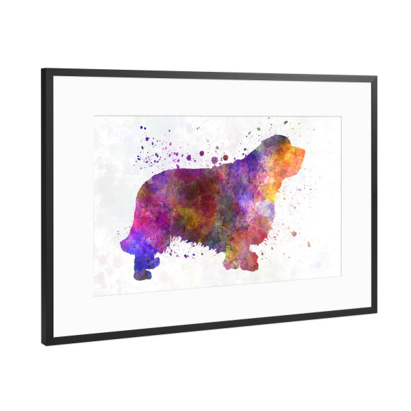 Poster mit Rahmen Schwarz (Metallic) "Clumber Spaniel in watercolor" artboxONE - Tiere,Abstrakt