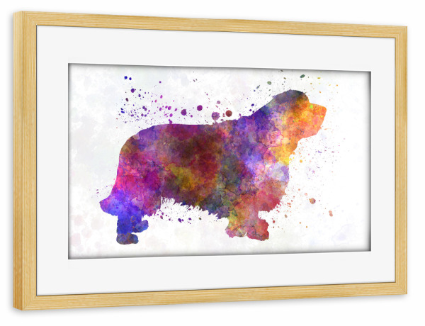 Poster mit Rahmen kiefer "Clumber Spaniel in watercolor" artboxONE - Tiere,Abstrakt
