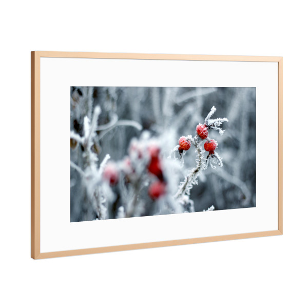 Poster mit Rahmen Kupfer "Hagebutten im Winter mit Raureif" artboxONE - Natur,Floral