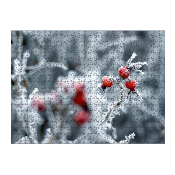 artboxONE Puzzle "Hagebutten im Winter mit Raureif" artboxONE - Natur,Floral