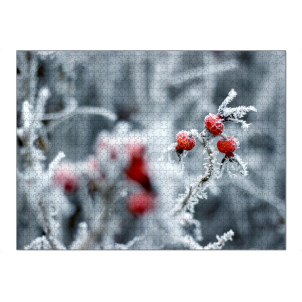 Puzzle Ravensburger "Hagebutten im Winter mit Raureif" artboxONE - Natur,Floral