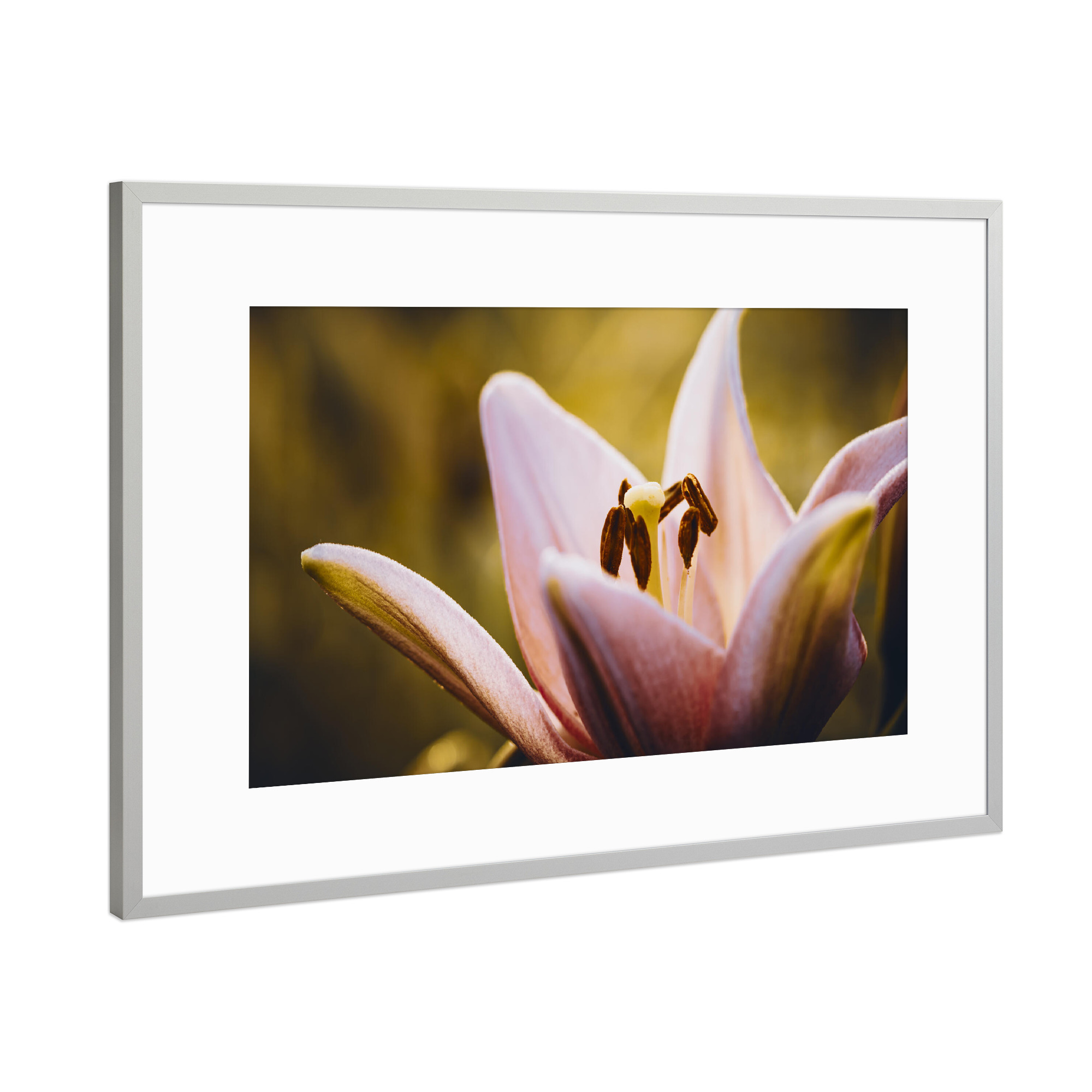 Poster mit Rahmen Silber "Lily Time" artboxONE - Natur,Floral,Für Mama