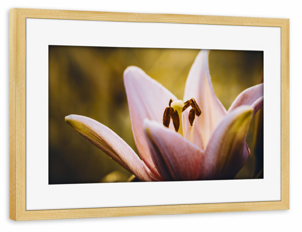 Poster mit Rahmen kiefer "Lily Time" artboxONE - Natur,Floral,Für Mama