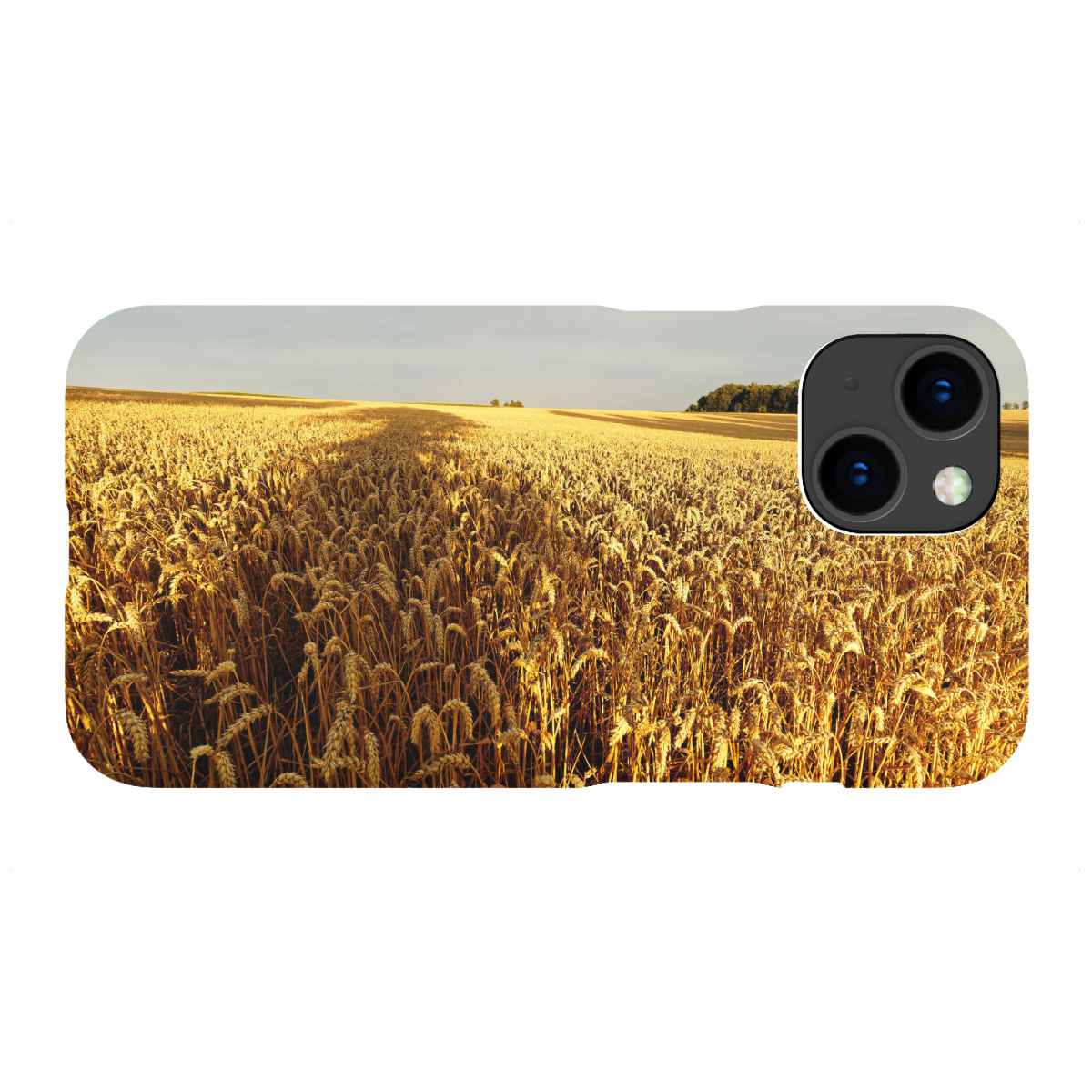 iPhone "Getreidefeld mit Baumschatten" Premium-Case Handyhülle artboxONE