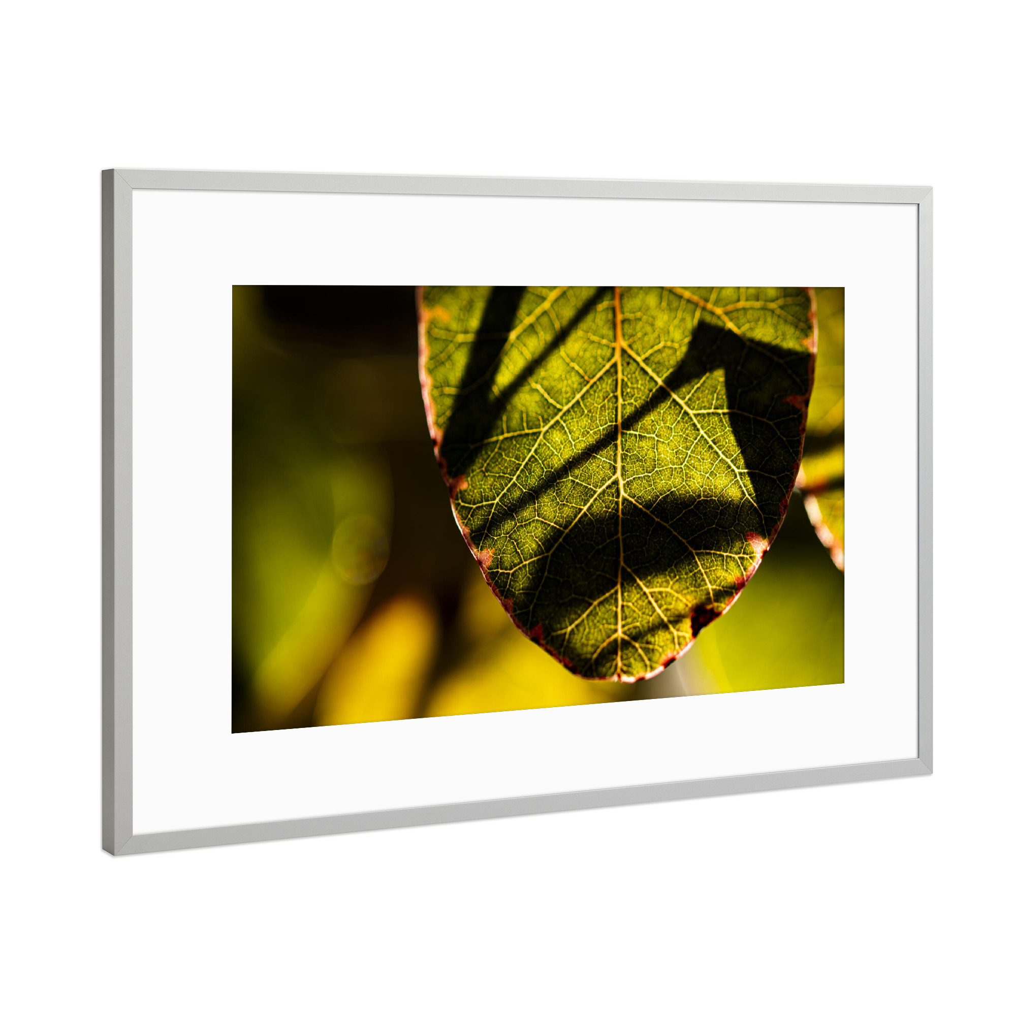 Poster mit Rahmen Silber "Structures, Light And Shadows" artboxONE - Floral,Für Mama,Für Papa