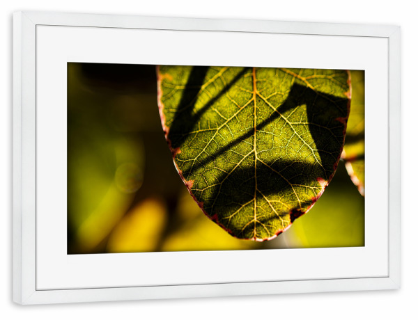 Poster mit Rahmen weiß "Structures, Light And Shadows" artboxONE - Floral,Für Mama,Für Papa