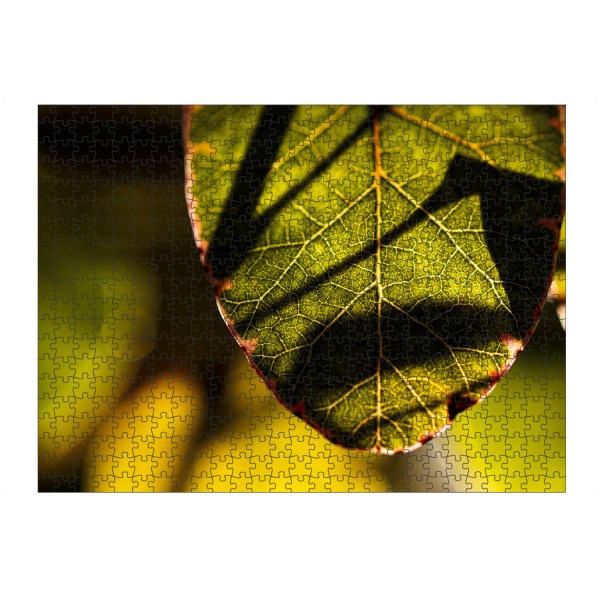artboxONE Puzzle "Structures, Light And Shadows" artboxONE - Floral,Für Mama,Für Papa