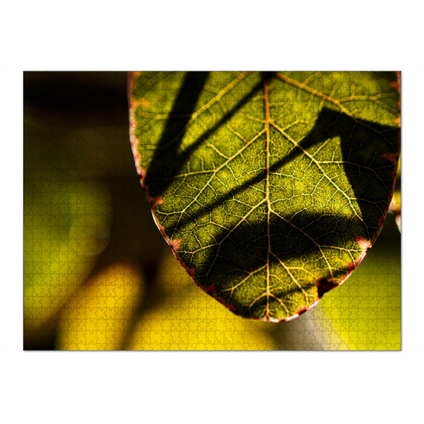 Puzzle Ravensburger "Structures, Light And Shadows" artboxONE - Floral,Für Mama,Für Papa