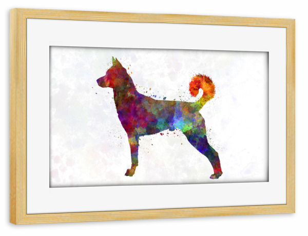Poster mit Rahmen kiefer "Canaan dog in watercolor" artboxONE - Tiere,Abstrakt