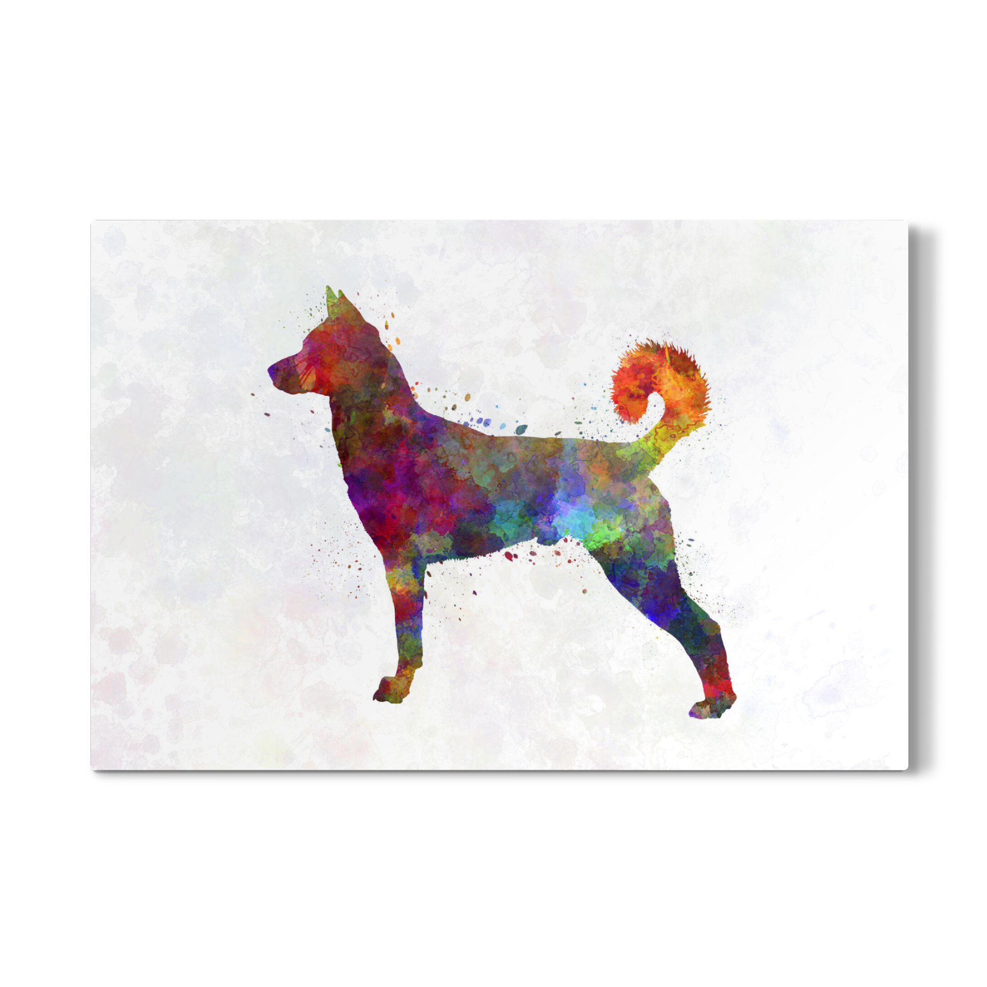 Galerie-Print "Canaan dog in watercolor" 30x20 cm artboxONE