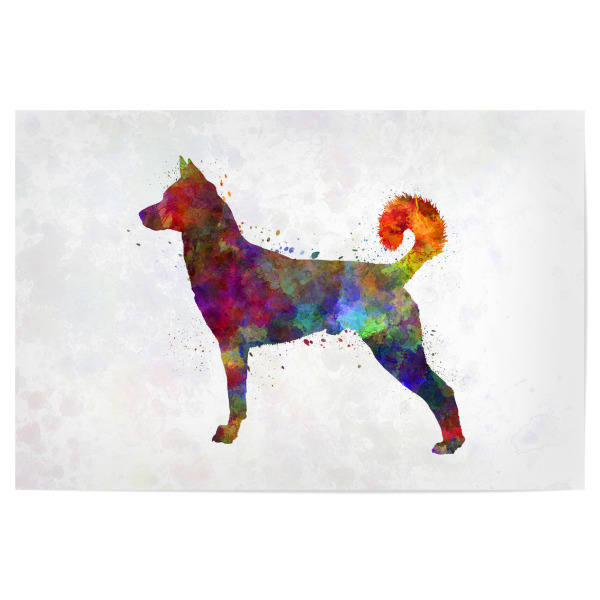 Poster "Canaan dog in watercolor" artboxONE - Tiere,Abstrakt