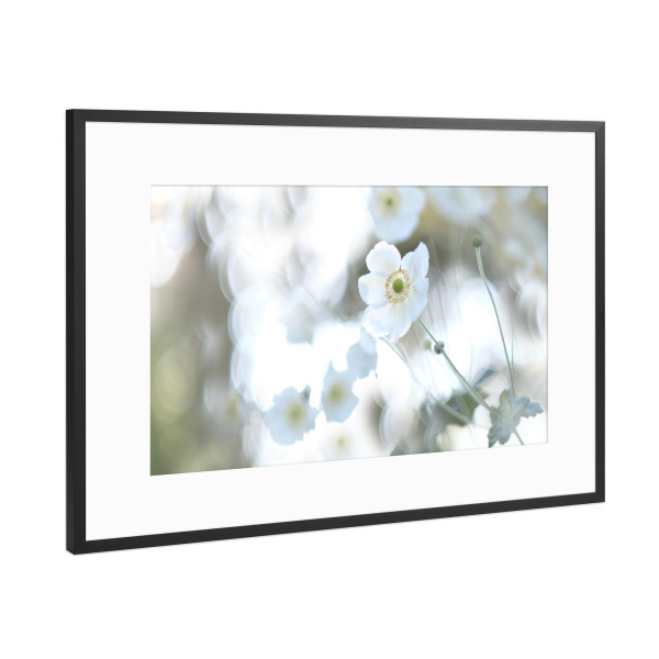 Poster mit Rahmen Schwarz (Metallic) "Herbsttraum" artboxONE - Natur,Floral