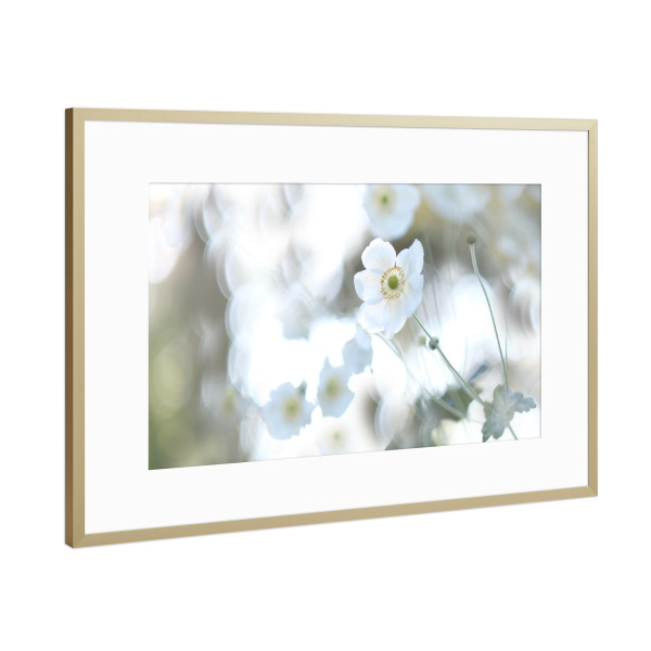 Poster mit Rahmen Gold "Herbsttraum" artboxONE - Natur,Floral