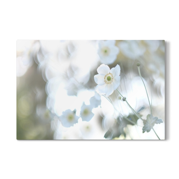 Galerie-Print "Herbsttraum" 30x20 cm artboxONE