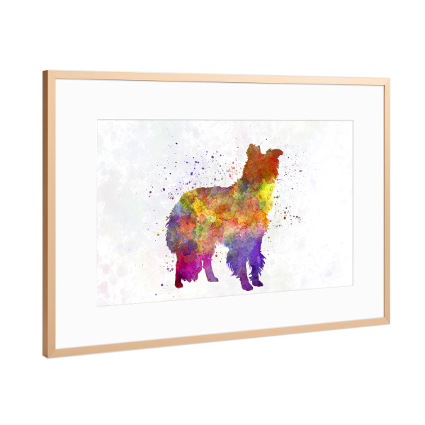 Poster mit Rahmen Kupfer "Border Collie in watercolor" artboxONE - Tiere