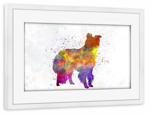 Poster mit Rahmen weiß "Border Collie in watercolor" artboxONE - Tiere