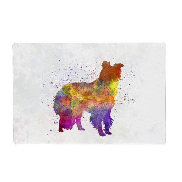 Holzbild "Border Collie in watercolor" artboxONE - Tiere