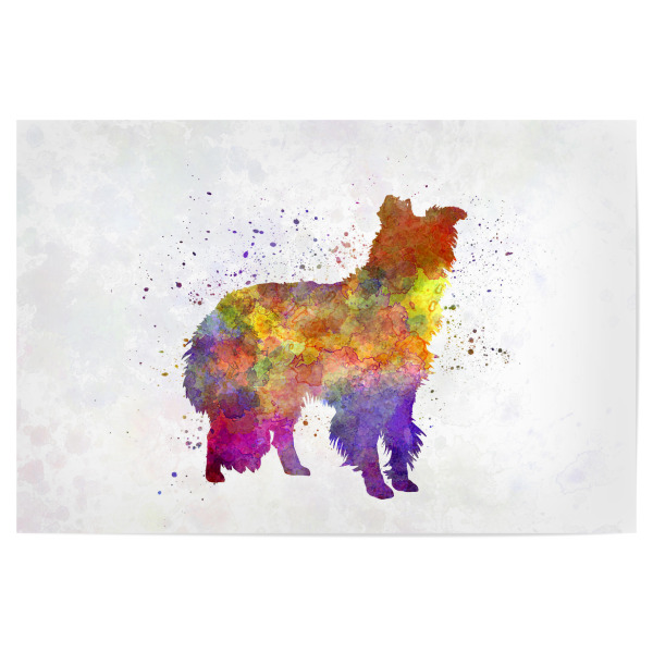 Poster 30x20 cm "Border Collie in watercolor" artboxONE - Tiere