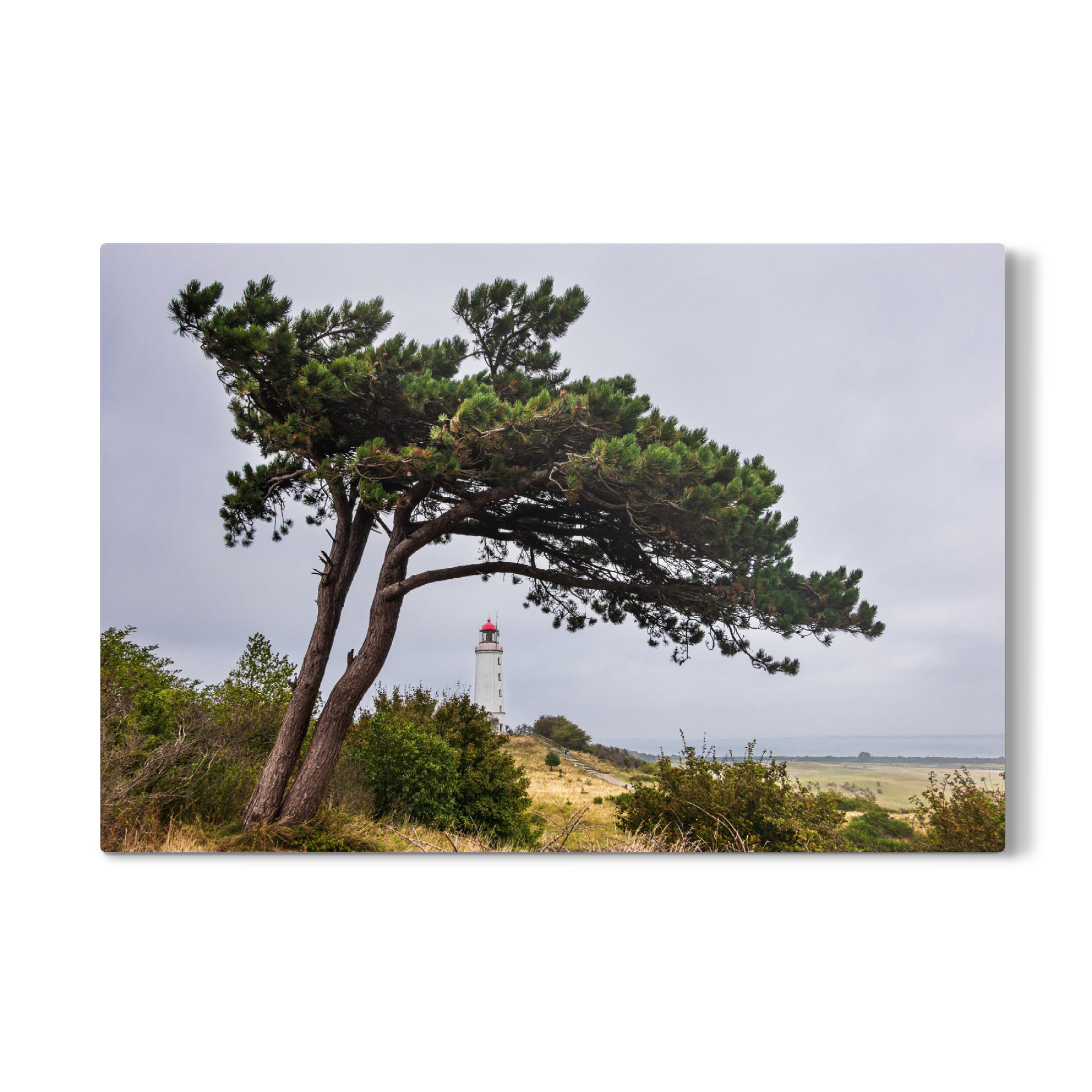 Galerie-Print "Leuchtturm Dornbusch" 30x20 cm artboxONE