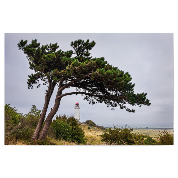 Poster "Leuchtturm Dornbusch" artboxONE - Natur,Reise,Architektur,Reise / Strand und Meer