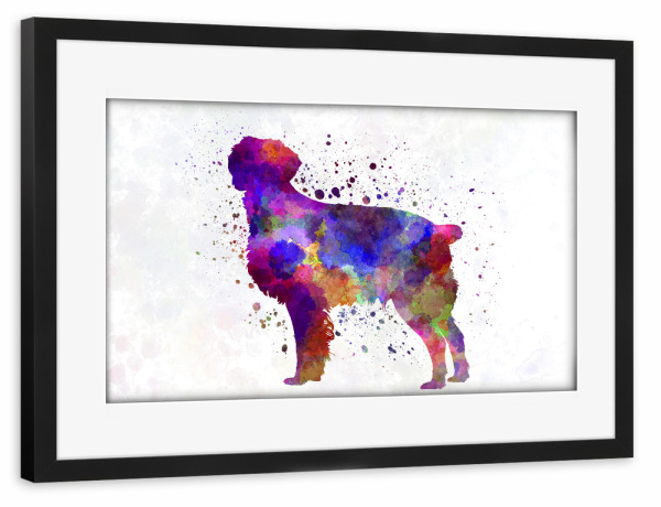 Poster mit Rahmen schwarz "Brittany Spaniel in watercolor" artboxONE - Tiere,Abstrakt
