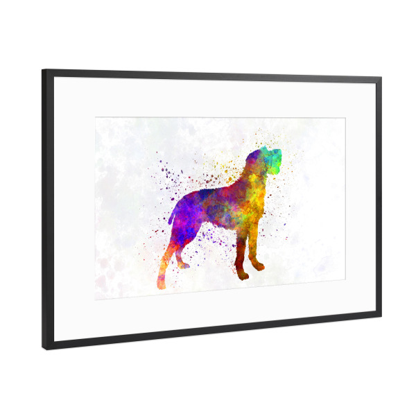 Poster mit Rahmen Schwarz (Metallic) "Bohemian Wirehaired Pointing" artboxONE - Tiere