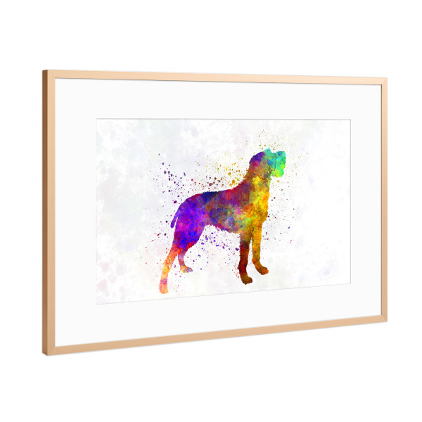 Poster mit Rahmen Kupfer "Bohemian Wirehaired Pointing" artboxONE - Tiere