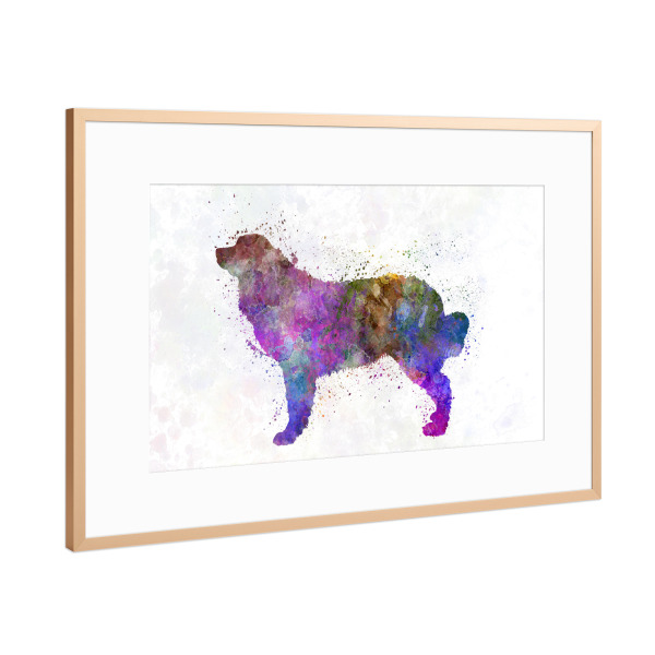 Poster mit Rahmen Kupfer "Bernese mountain dog in watercolor" artboxONE - Tiere
