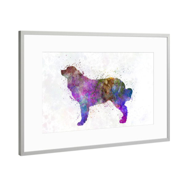 Poster mit Rahmen Silber "Bernese mountain dog in watercolor" artboxONE - Tiere