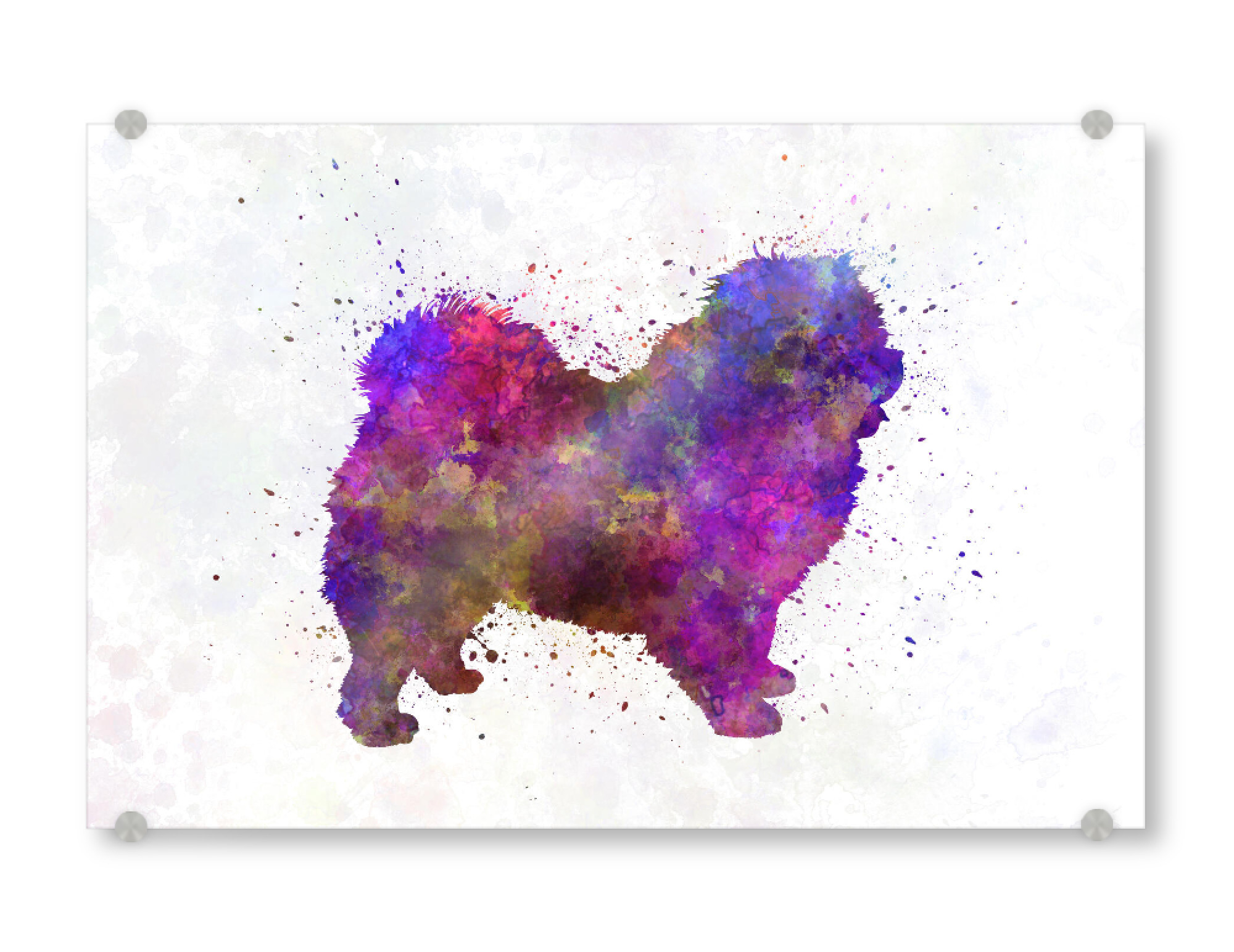 Acrylglasbild "Chow-chow in Watercolor" artboxONE - Tiere,Abstrakt