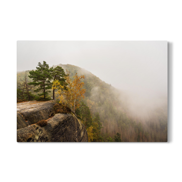 Galerie-Print "Bäume, Felsen und Nebel" 30x20 cm artboxONE