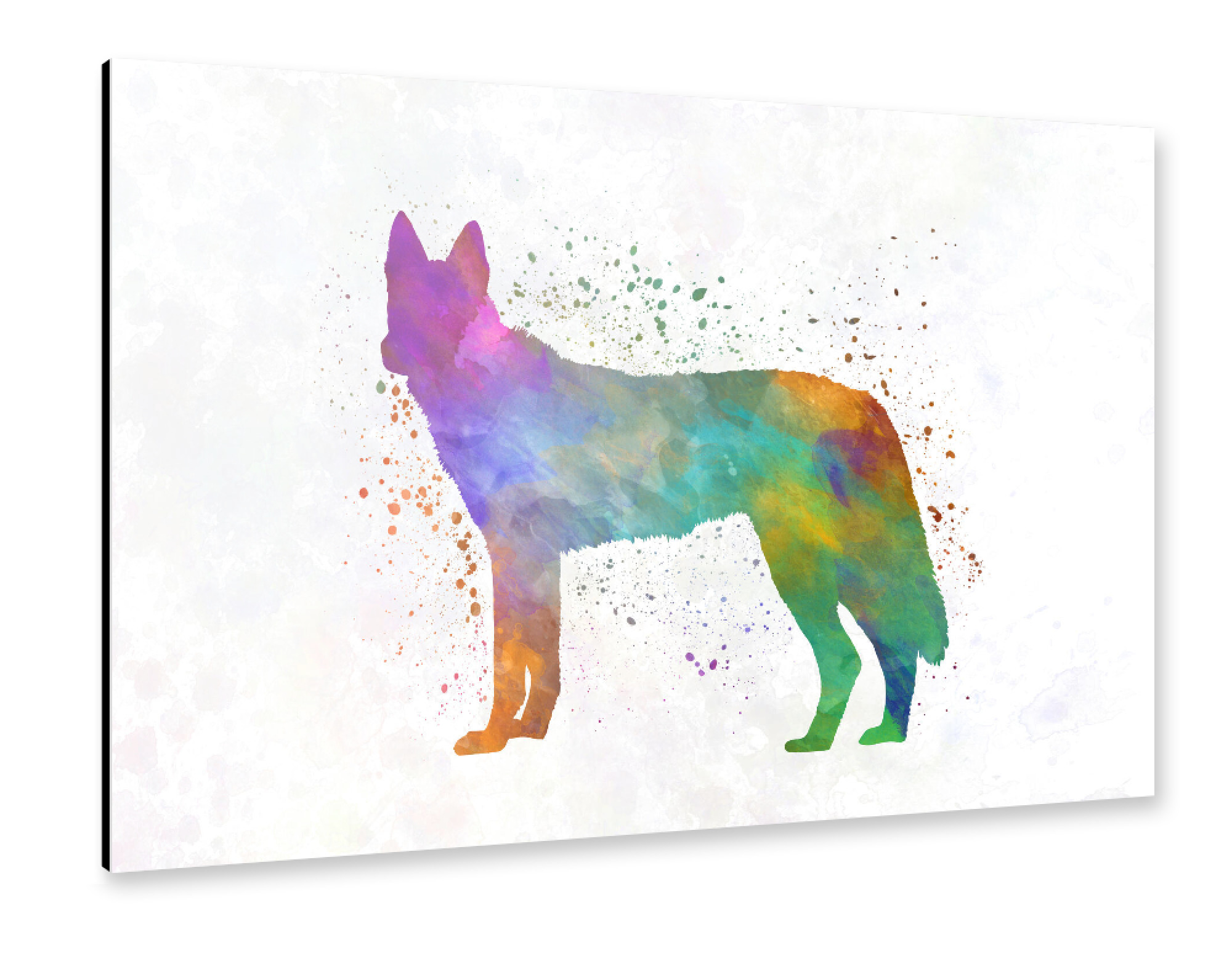 Alu-Dibond "Czechoslovakian Wolfdog" 30x20 cm artboxONE